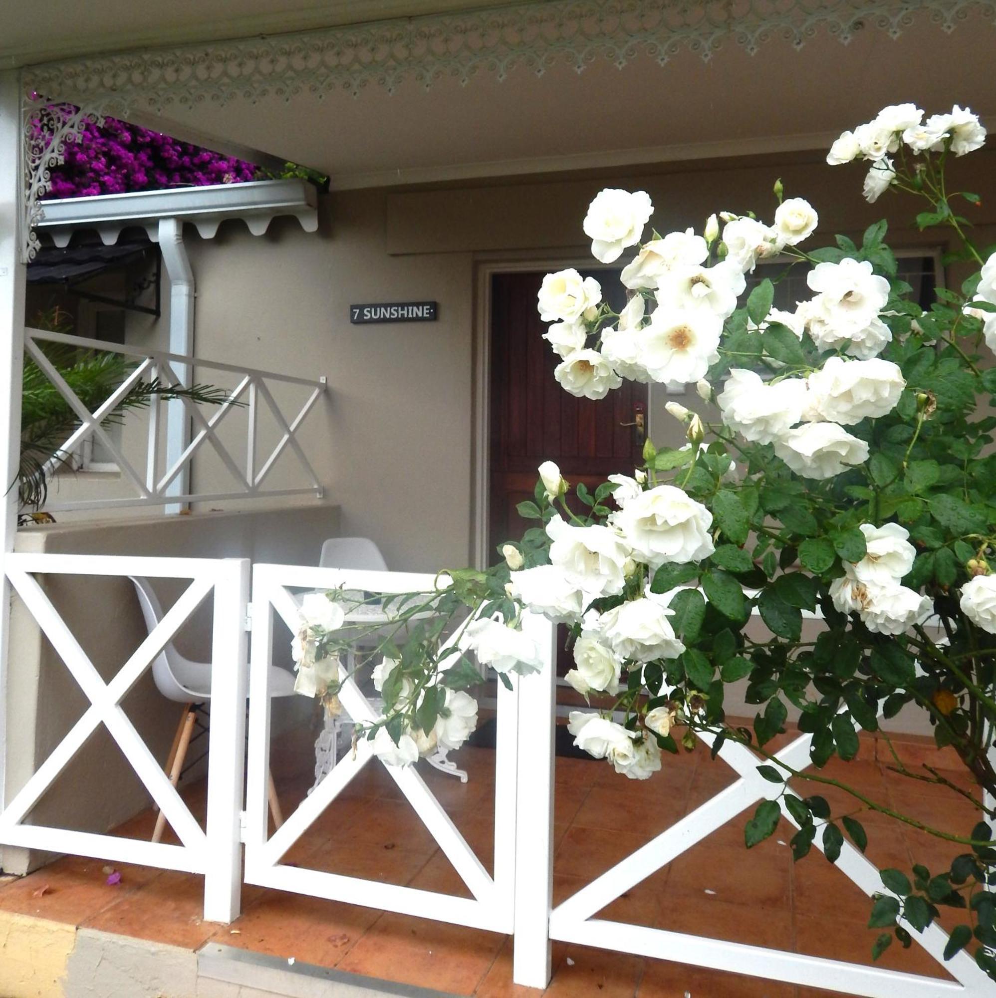Longtom Farm Guesthouse Lydenburg Εξωτερικό φωτογραφία