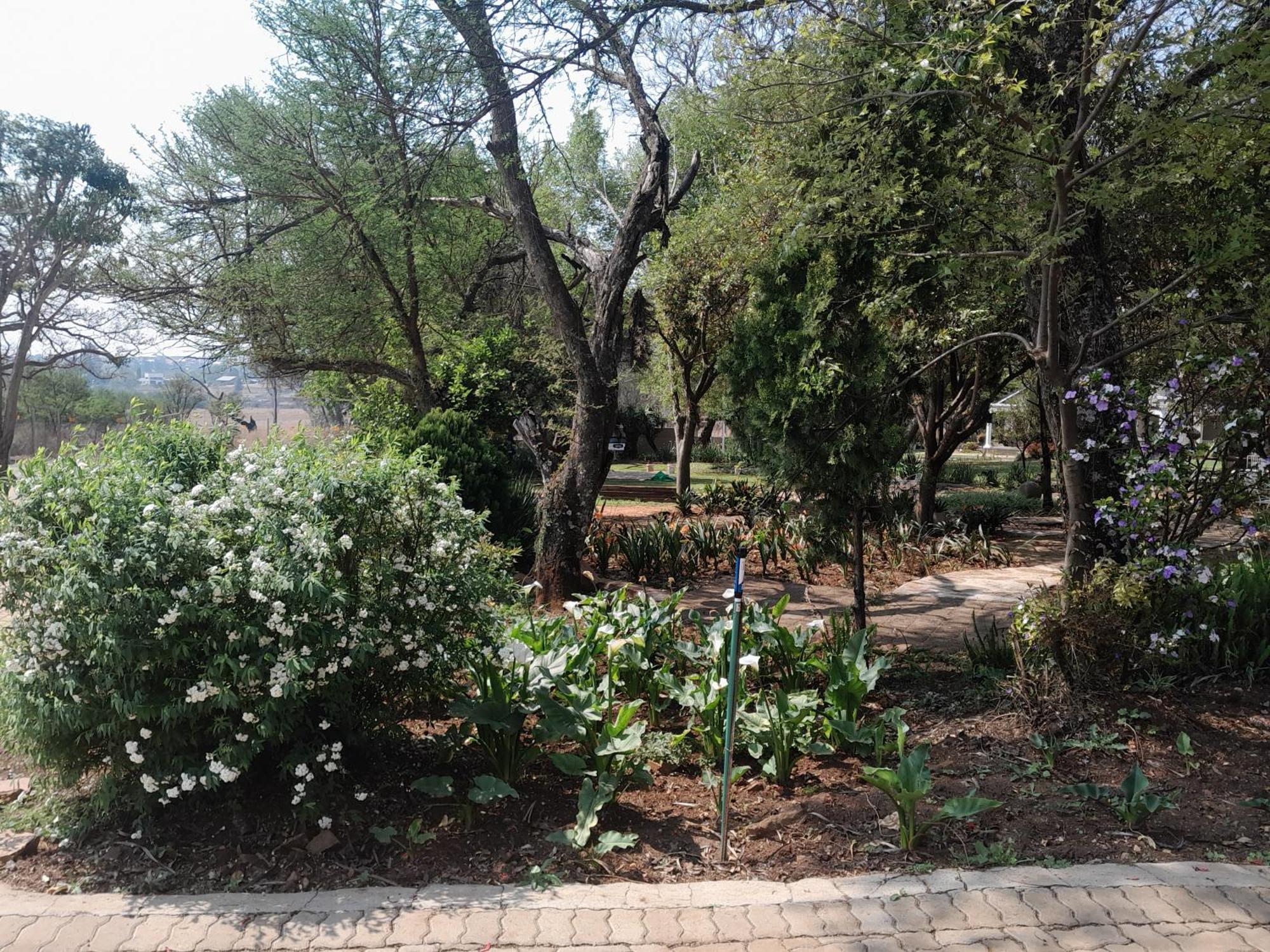 Longtom Farm Guesthouse Lydenburg Εξωτερικό φωτογραφία