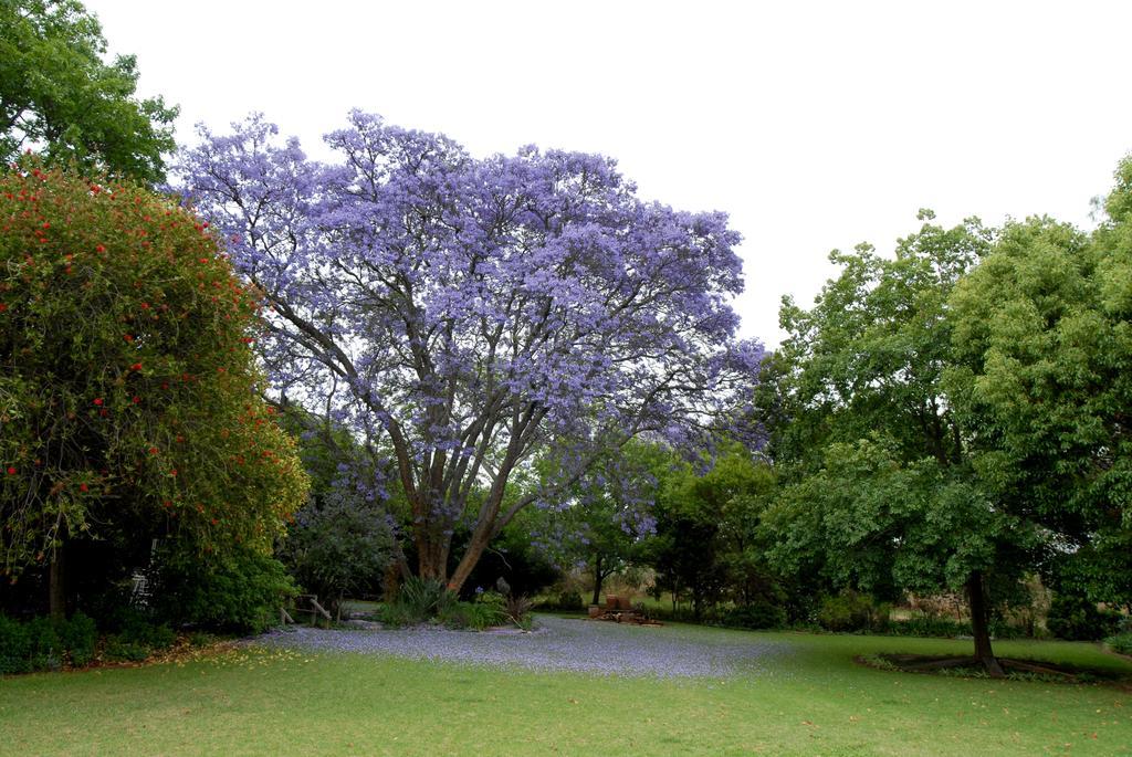 Longtom Farm Guesthouse Lydenburg Εξωτερικό φωτογραφία